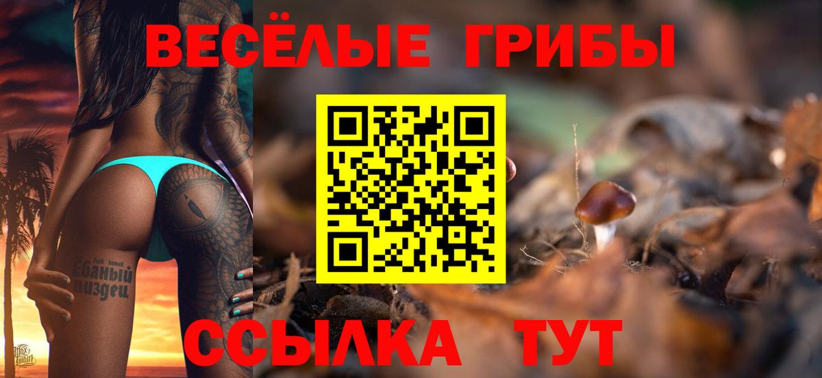 Кинешма  Галлюциногенные грибы Psilocybe  Вход с VPN 